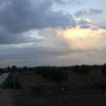 Photo-1 : Terrain Tayssir à Hammamet Sud