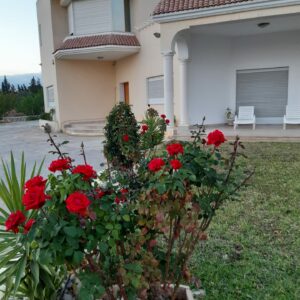 Villa 400 m² + Terrain Agricole 1 ha à O. Ellil