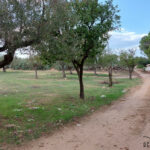 Photo-2 : Terrain d’habitation de 732m² à Beni khiar, Nabeul