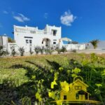 Photo-1 : Villa avec piscine à Tezdaine