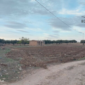 Terrain agricole de 3000m² à Talout, Korba