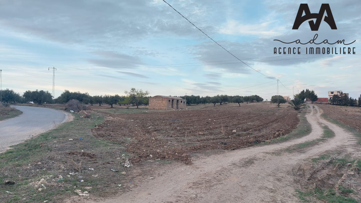 Terrain agricole de 3000m² à Talout, Korba