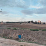 Photo-5 : Terrain agricole de 3000m² à Talout, Korba