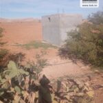 Photo-6 : Terrain Agricole Aich à Sidi Aich
