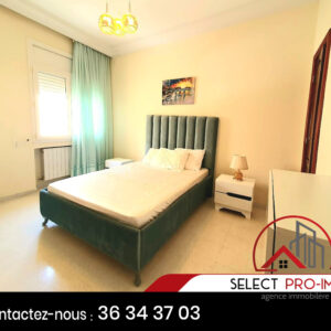 Duplex S+4 meublé au Lac 1