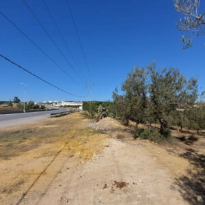 Terrain industriel de 28 hectares sur la route de Tunis, Nabeul