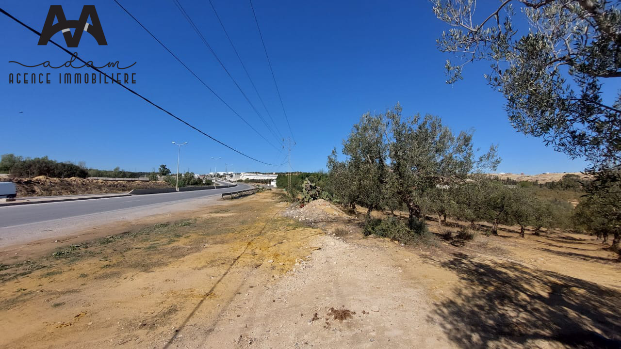 Terrain industriel de 28 hectares sur la route de Tunis, Nabeul