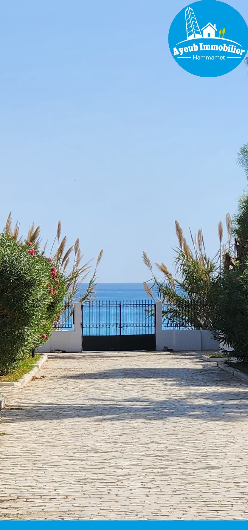 Maison Nessim