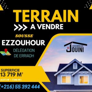 Terrain 1 Hectare 3719m² à Ezzouhour Sousse