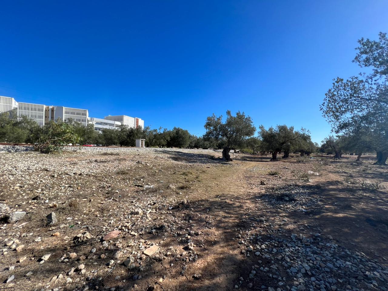 Exceptional Land for Sale in Sahloul!