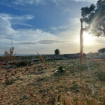 Terrain de 906m² pied dans l&rsquo;eau à beni khiar