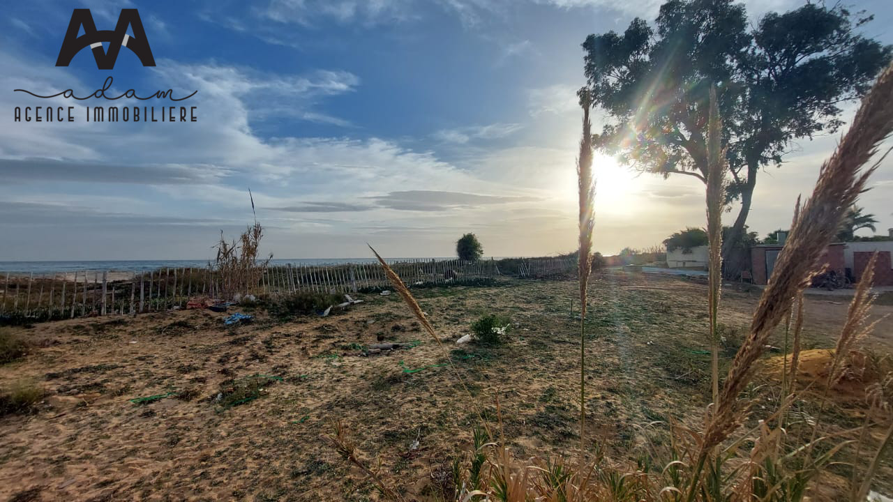 Terrain de 906m² pied dans l'eau à beni khiar