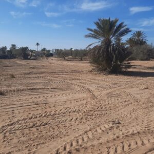 Terrain Midoun