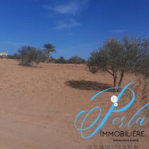 Terrain 2500 m² à Sidi Jmour