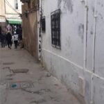 Photo-2 : Terrain Villa Baruffi à Tunis