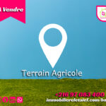 Terrain agricole clôturé de 2550m² akalakbira