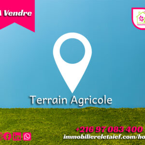 Terrain agricole clôturé de 2550m² akalakbira