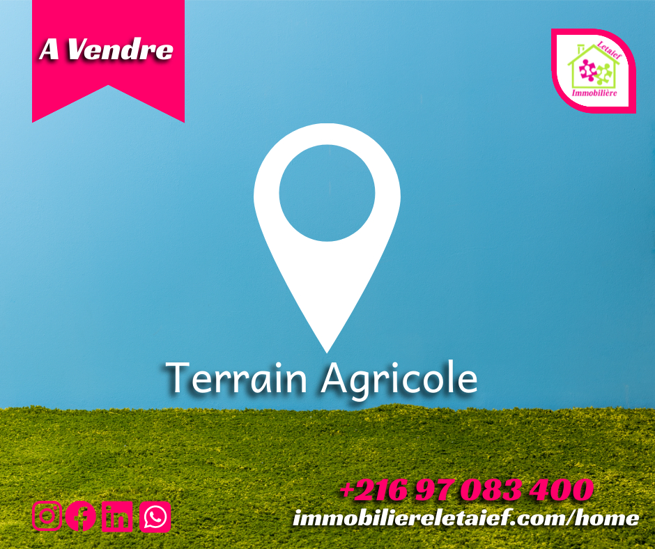 Terrain agricole clôturé de 2550m² akalakbira