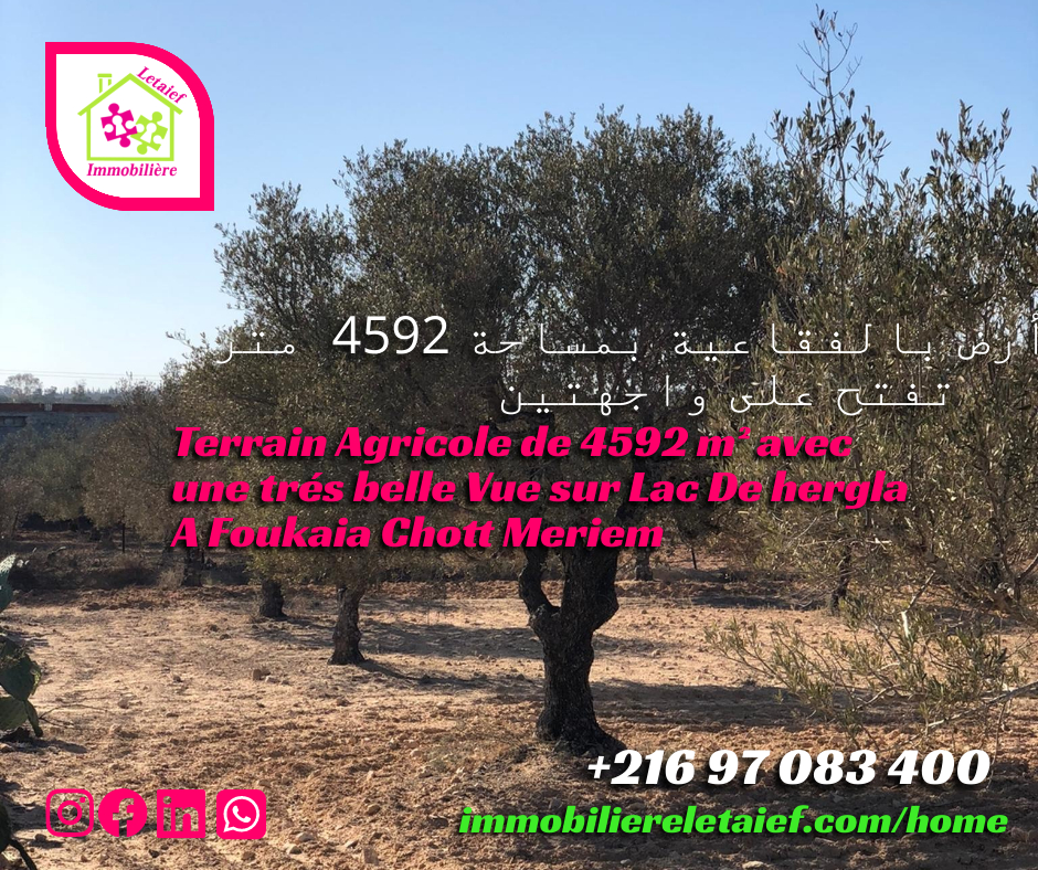 Terrain Agricole de 4592 M² avec une Belle Vue Foukaia