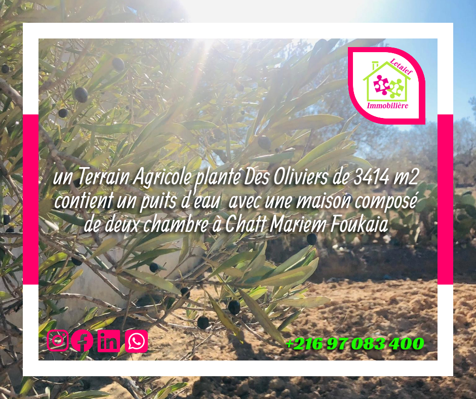 Exceptional Agricultural Land Opportunity in Foukaia, Sousse