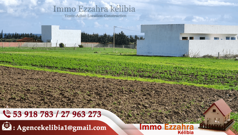 Lots des terrains à vendre à Hammem Jabli Hammem Ghezaz