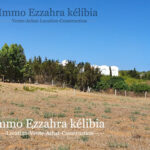 Photo-4 : Lotissement à Ezzahra-Hammem Ghezaz