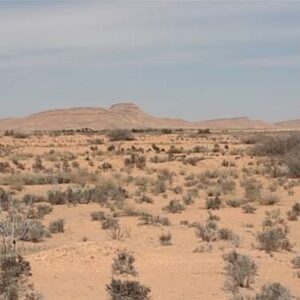 Terrain Agricole à Sidi Aich