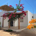 Photo-3 : Villa S+3 avec garage et jardin à Midoun Djerba