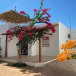 Photo-5 : Villa S+3 avec garage et jardin à Midoun Djerba