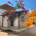 Photo-7 : Villa S+3 avec garage et jardin à Midoun Djerba