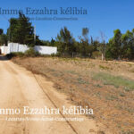 Photo-6 : Lotissement à Ezzahra-Hammem Ghezaz