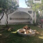 Photo-12 : Villa Mantoue à La Marsa Ennasim