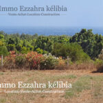 Photo-7 : Lotissement à Ezzahra-Hammem Ghezaz
