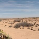 Photo-1 : Terrain Agricole à Sidi Aich