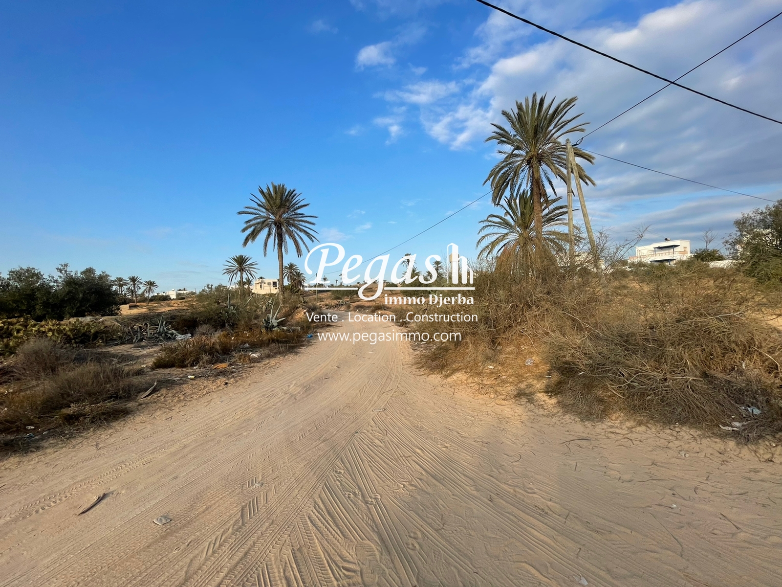 Prime Land for Sale near Seguia Beach - Djerba