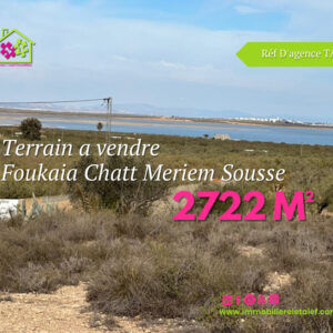 Terrain agricole d’une superficie de 2722 m² contient oliviers à Foukaia Chatt meriem