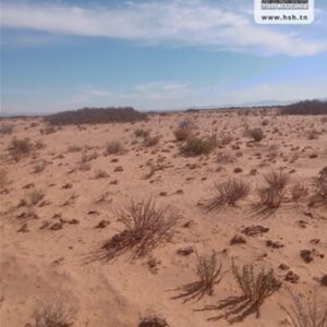 Terrain Agricole Montaura à Sidi Aich, Gafsa