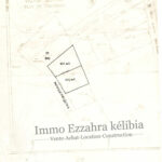 Photo-1 : 2 terrains de 237m² et 233m² à Ezzahra Hammem Ghezaz