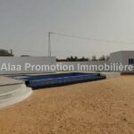 Photo-5 : Villa avec piscine à Djerba