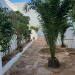 Photo-9 : Deux villas de 200 m² titre bleu proche la mer à Midoun Djerba