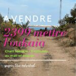 Terrain Agricole de belle vue à Foukaia Chatt meriem
