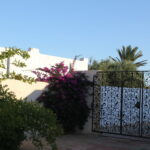 Photo-7 : Beau Riad Djerbien avec piscine à Djerba Midoun