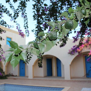 Beau Riad Djerbien avec piscine à Djerba Midoun