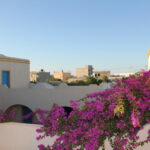 Photo-10 : Beau Riad Djerbien avec piscine à Djerba Midoun