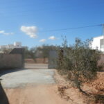 Photo-3 : Villa meublée s+2 au bord de la route à Tezdaine Djerba Midoun