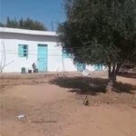 Photo-3 : Terrain Agricole Afia à Sidi Aich