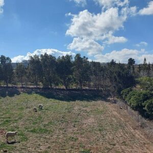 Magnifique terrain à hauteur à Ezzahra