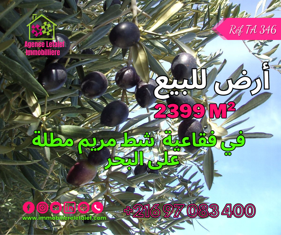 Agricultural Land with Breathtaking Views in Foukaia Chatt Meriem
