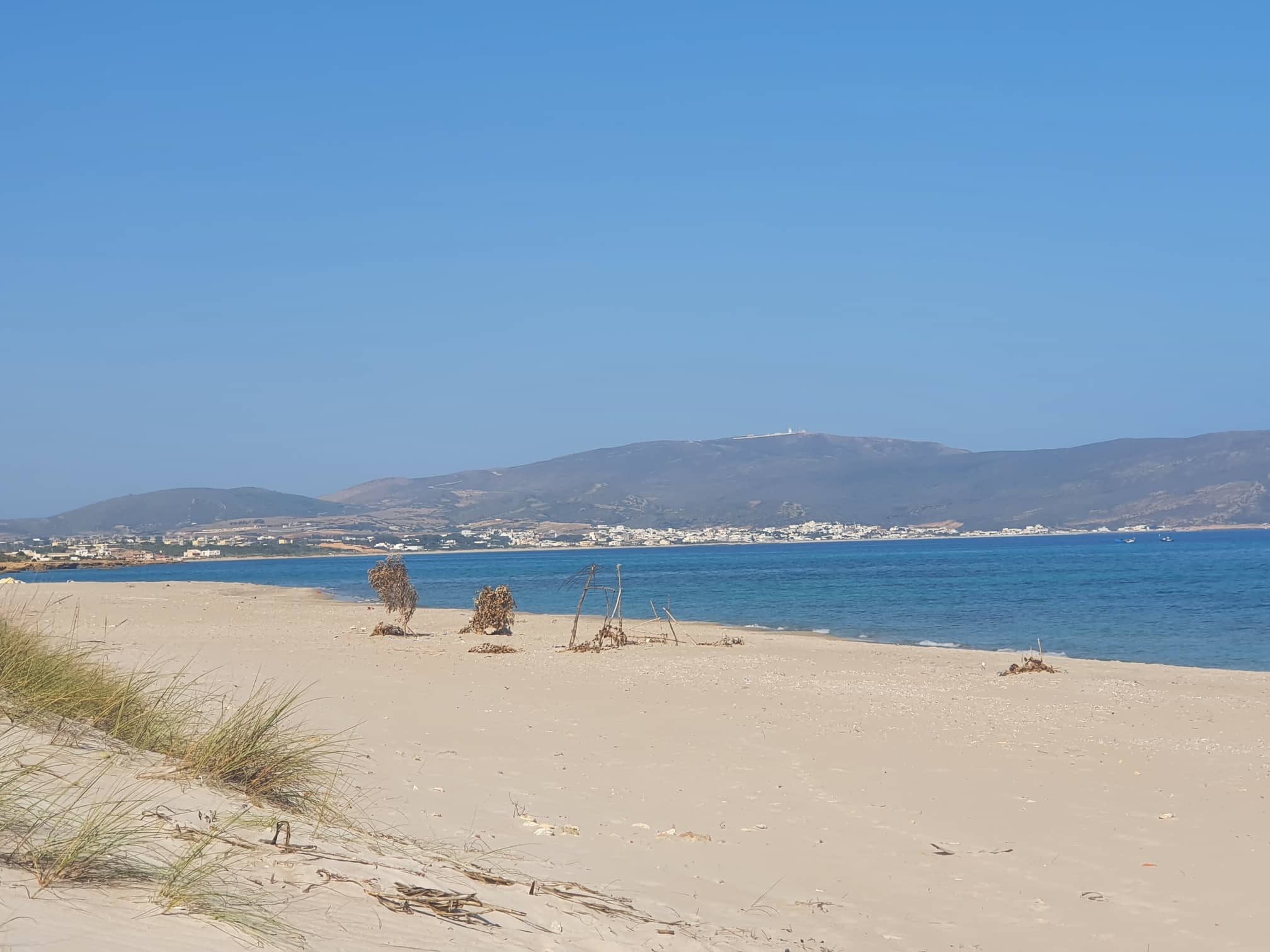 Exceptional Land Opportunity in Dar Allouch Kélibia: Don't Miss Out!