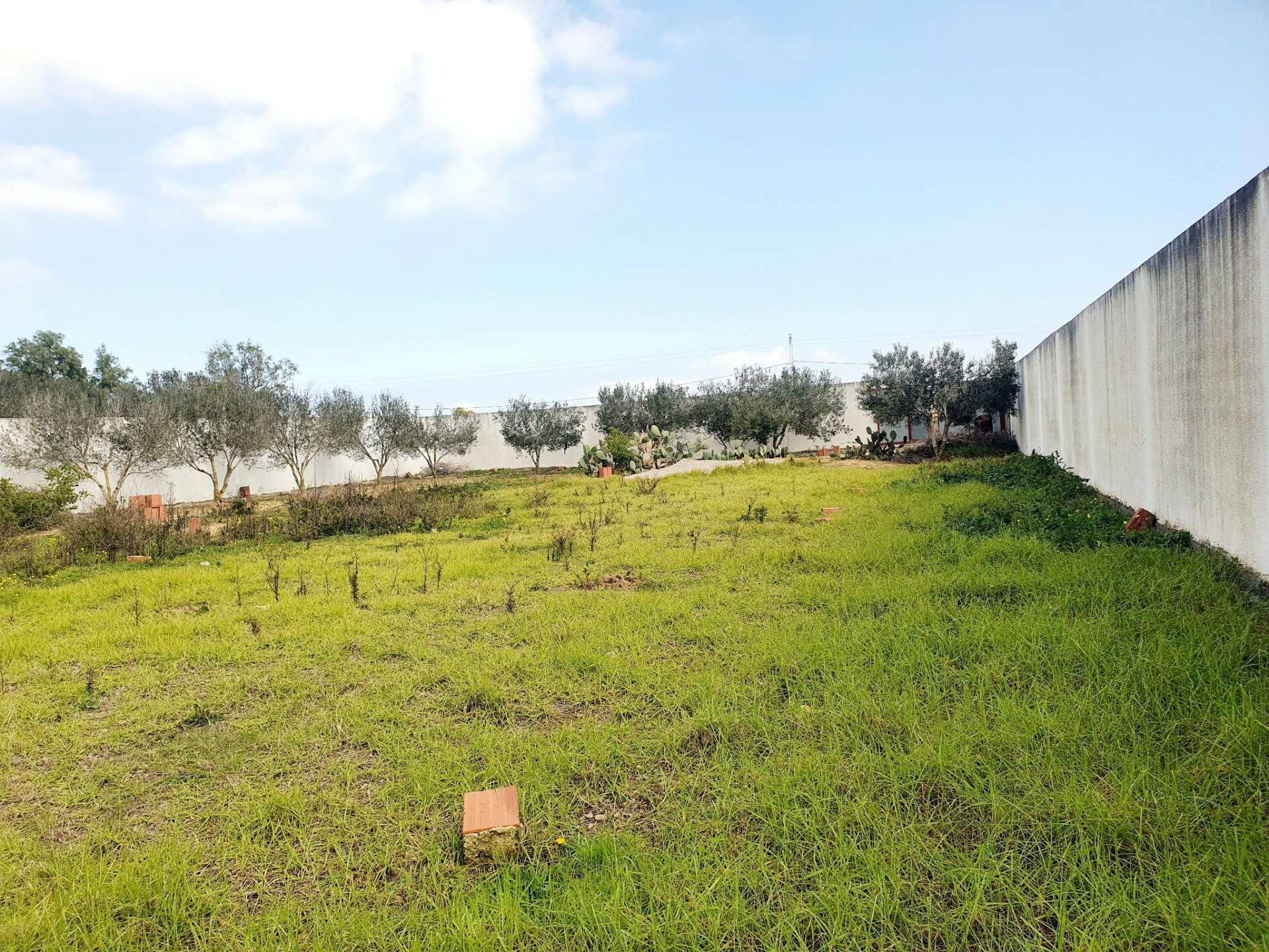 Exceptional Land Opportunity in Kelibia: 1247 m² of Prime Real Estate